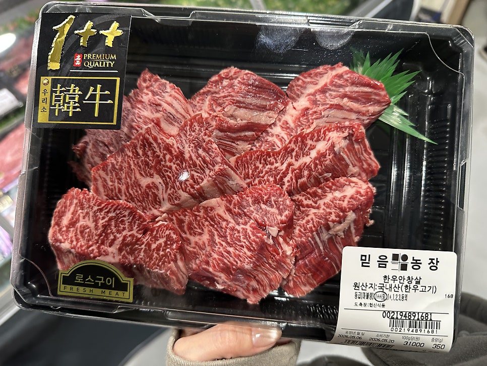 한우애 사진 5