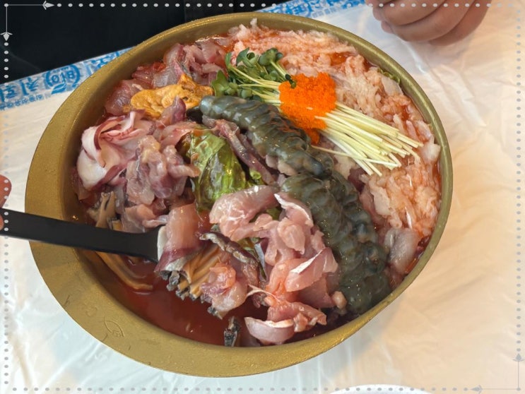  속초 맛집 양도  많고 깔끔한 맛 청초수물회 속초본점