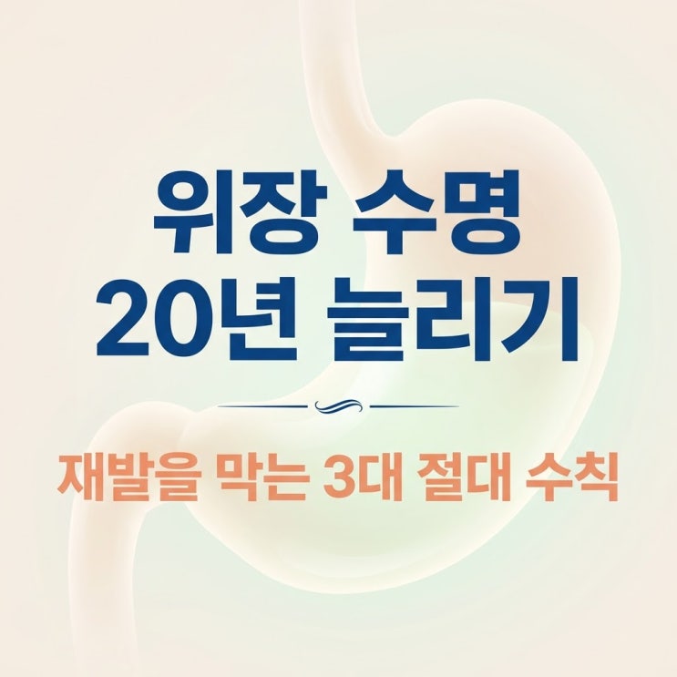  만성 소화불량 역류성 식도염 완치, 위장 수명 늘리는 3대 절대 수칙