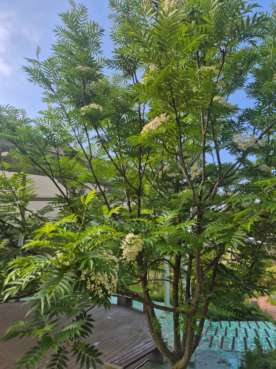 담쟁이카페 사진 3