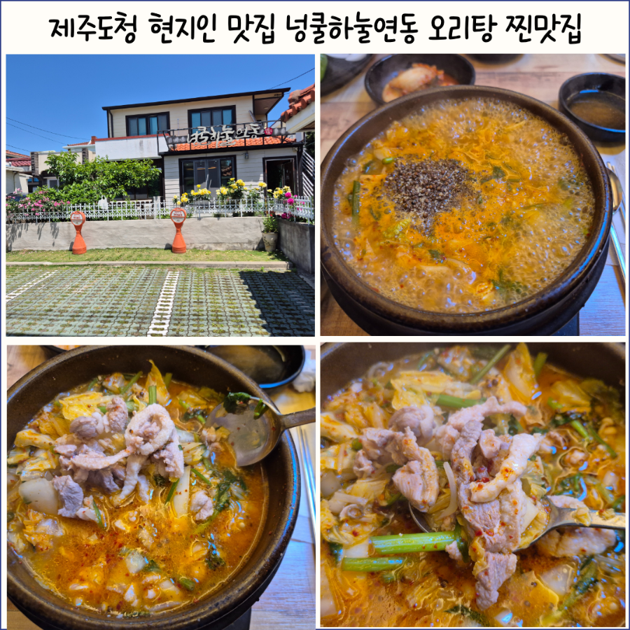 넝쿨하눌연동 사진 1