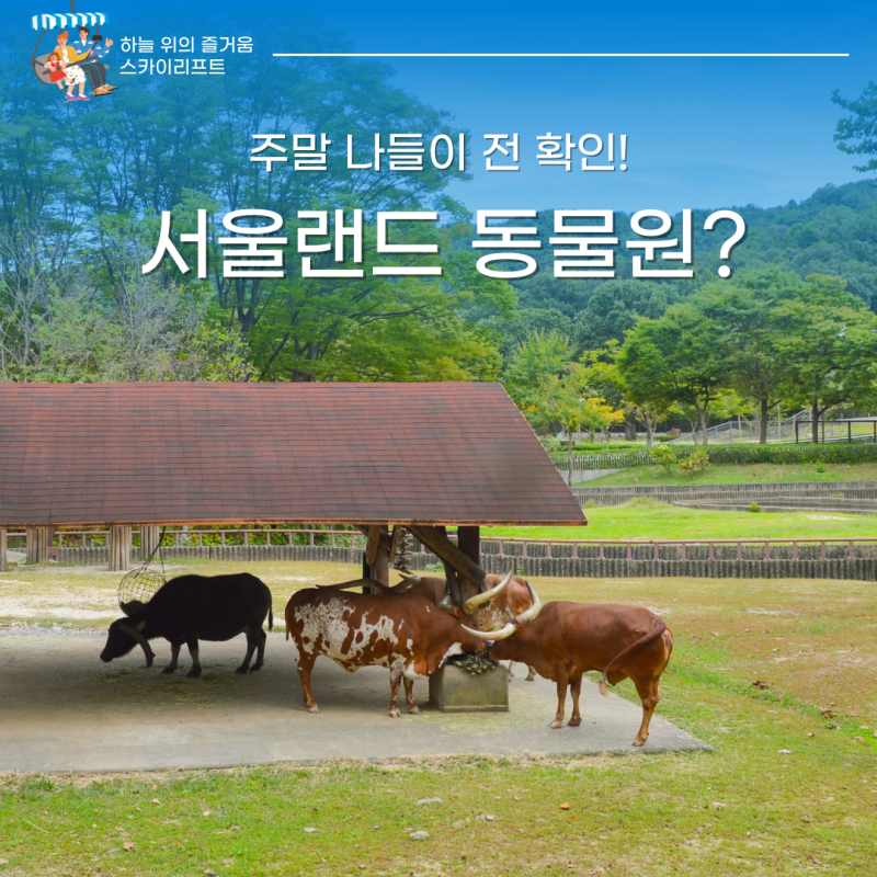 서울랜드 동물원 리프트 주말 나들이 전 확인!