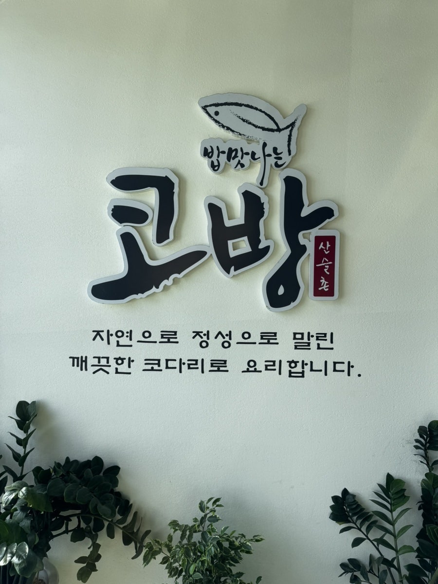 안성코방 사진 2