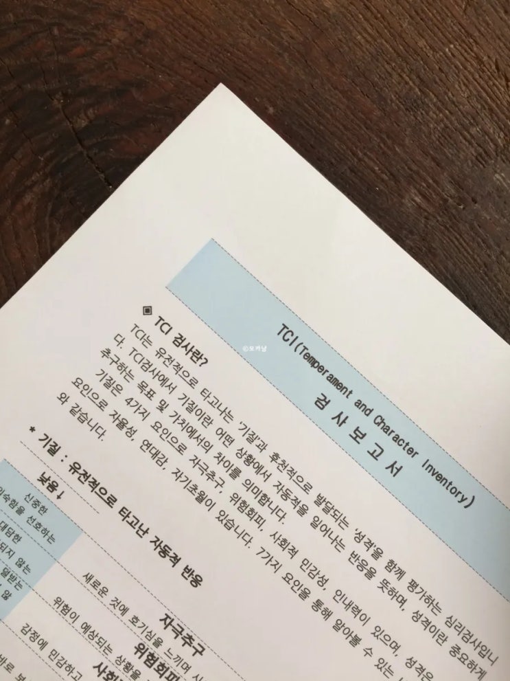  소울메이트 심리상담센터 TCI 검사 및 종합심리검사 후기