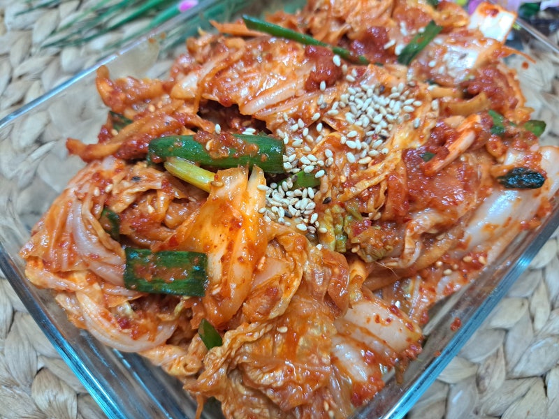 여름김장 배추포기김치 담그는법 저장배추 배추김치레시피