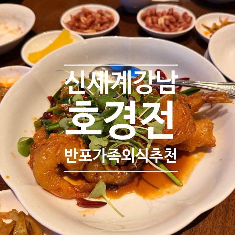 강남 가족모임 식당 추천｜신세계 강남 호경전 호세트 디너 코스 후기