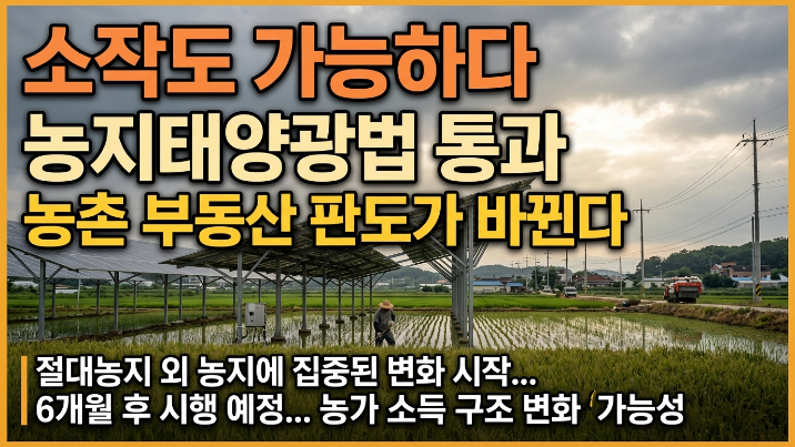  영농형 태양광법 통과… 농지 규제 시대, 임차농에게 새로운 기회가 열릴까?