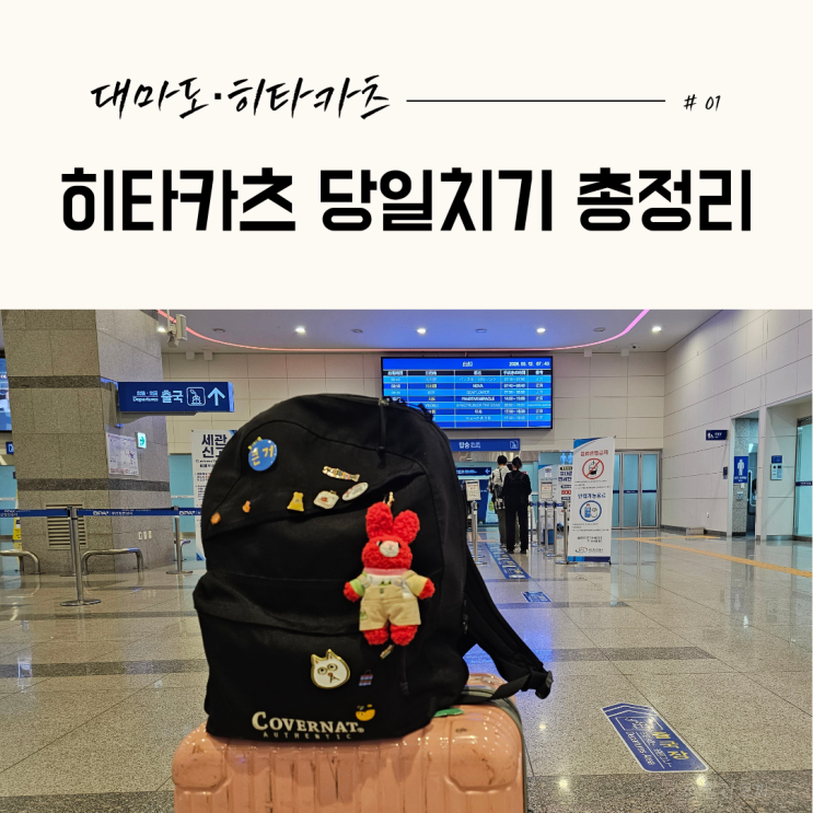  대마도 히타카츠 당일치기 총정리 | 배편·비용·일정·eSIM까지