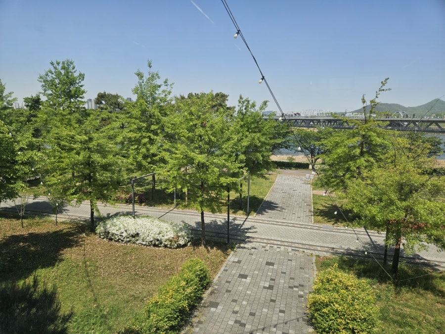 블로피 사진 1