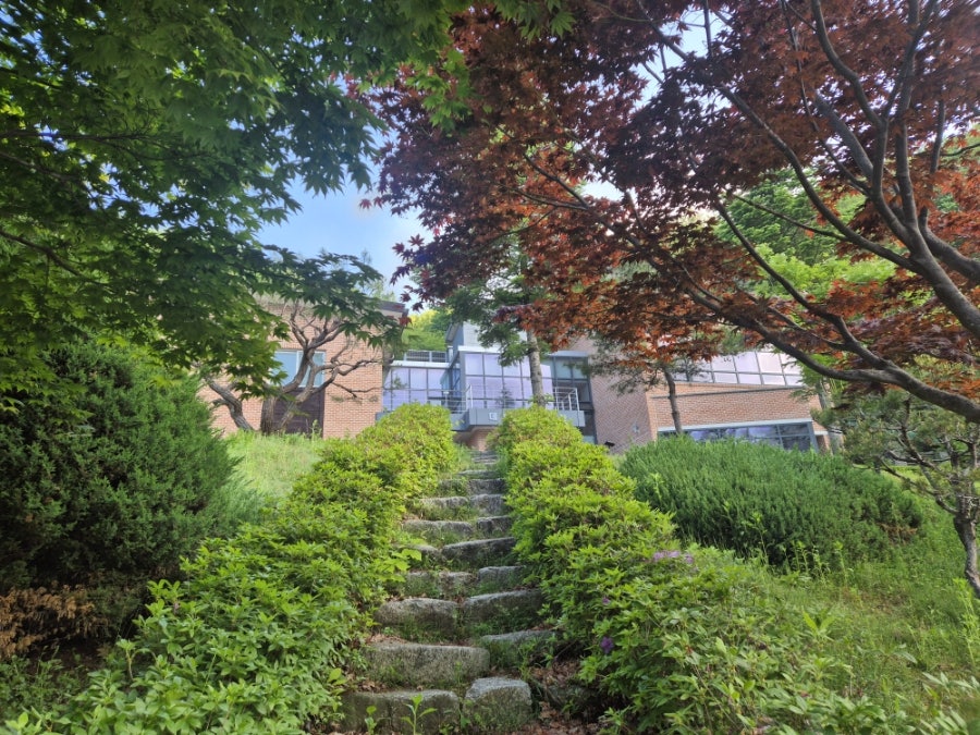 담쟁이카페 사진 1