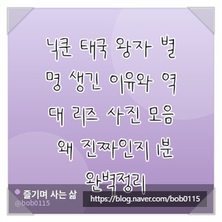 닉쿤 태국 왕자 별명 생긴 이유와 역대 리즈 사진 모음 왜 진짜인지 1분 완벽정리