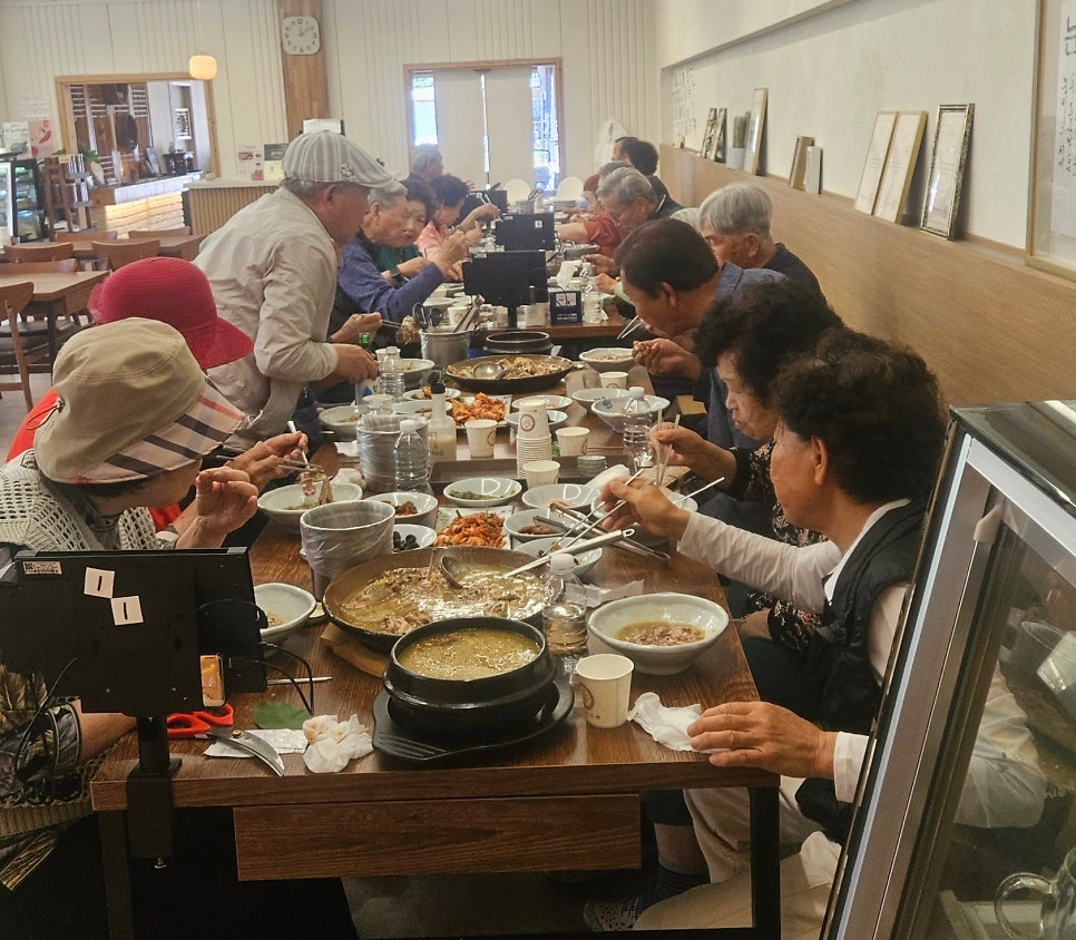 황금오리 사진 2