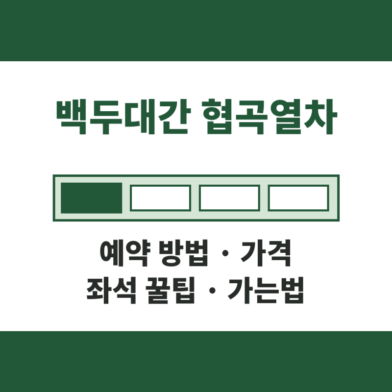 백두대간 협곡열차 예약 방법 가격 좌석 꿀팁 가는법