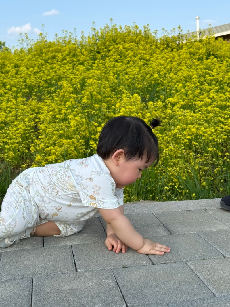 구리한강시민공원 | 유채꽃축제| 주차장팁 | 아기랑 놀러갈곳 | 분수대가는길