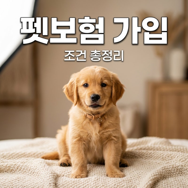 강아지 보험 가입 조건 상세 정리, 펫보험 현명하게 준비하기