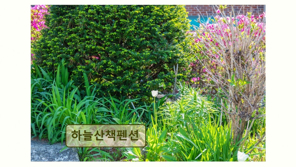 하늘산책펜션 사진 1