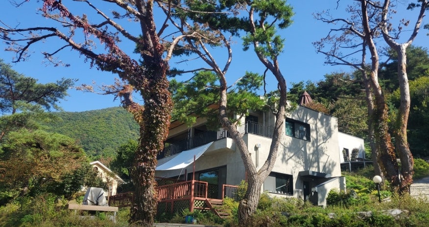 갤러리하우스펜션 사진 2