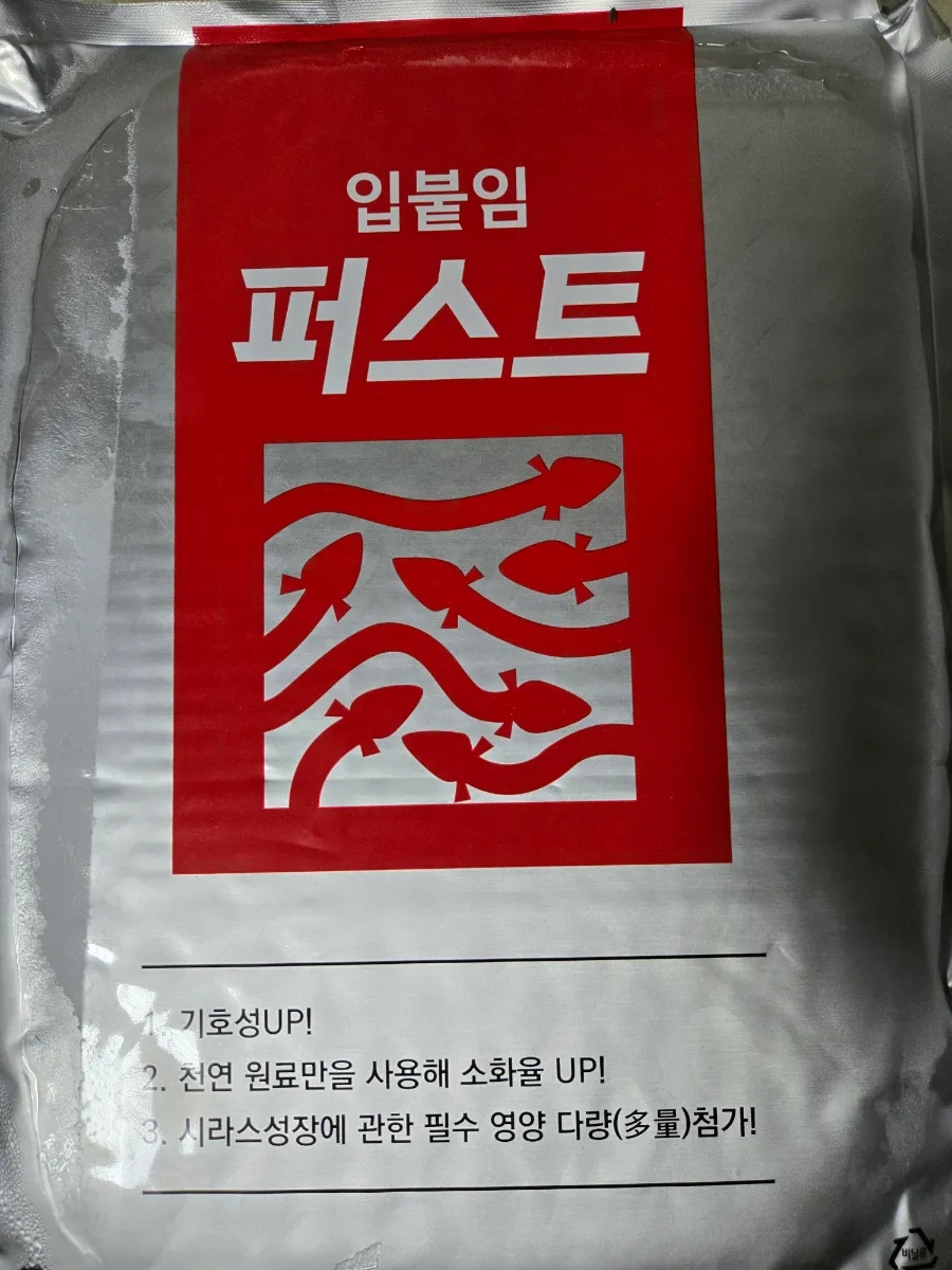 다보장어 사진 2