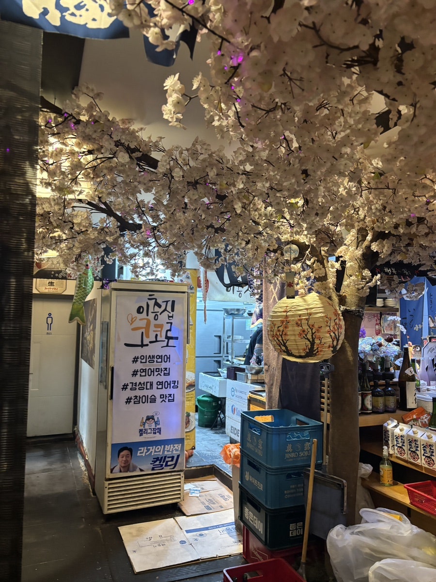 이층집코코로 경성대부산본점 사진 3
