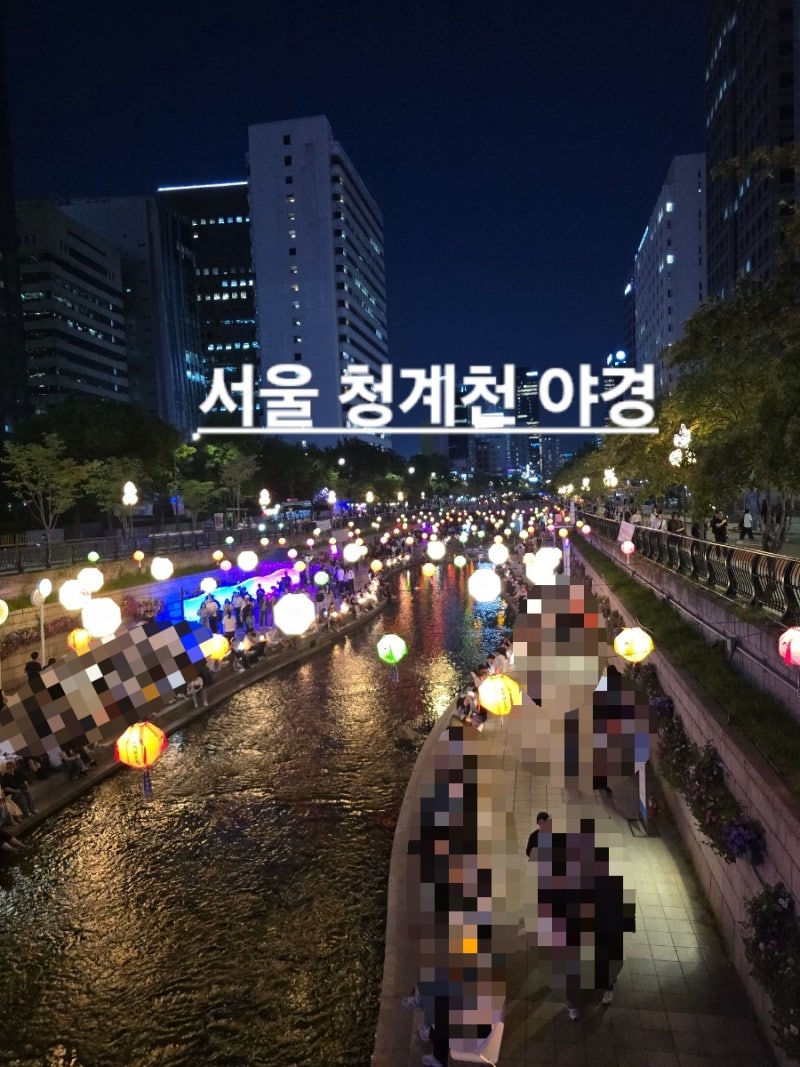 서울 청계천 야경 보러가기 좋은 시기에요! 서울 가볼만한곳 추천!