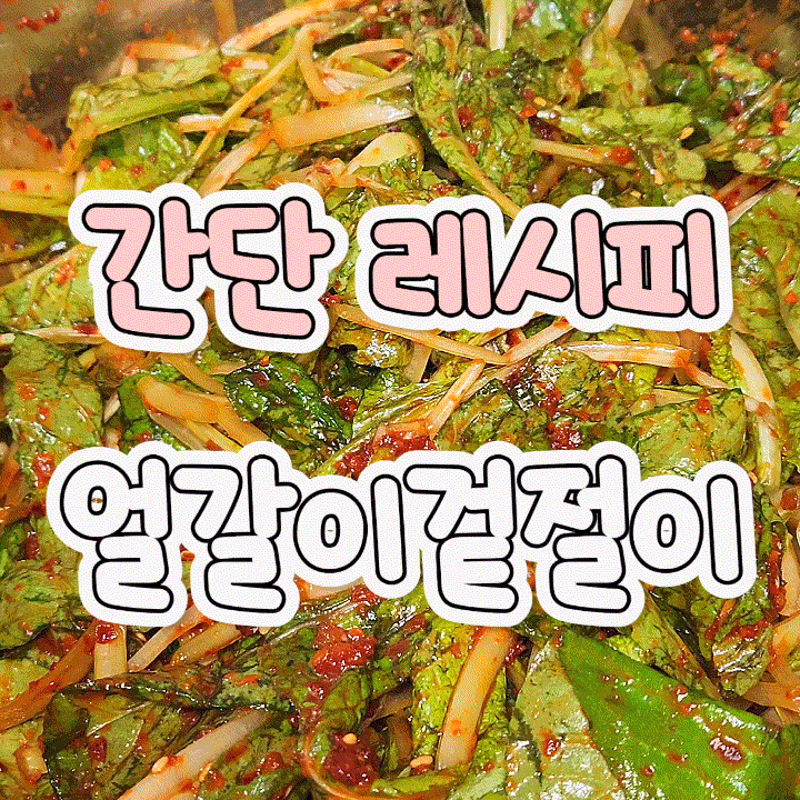 마당 텃밭 수확의 기쁨 얼갈이배추 겉절이 무침 레시피