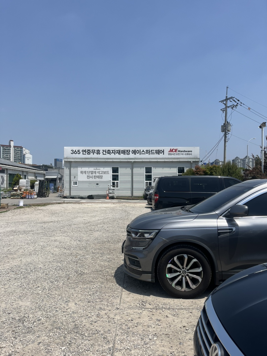 에이스 사진 2