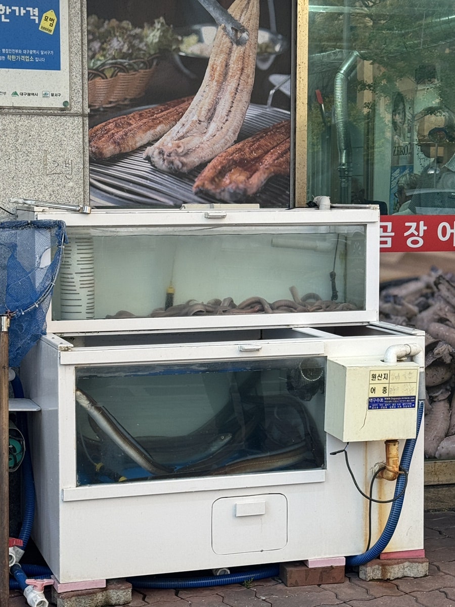 해궁 사진 5