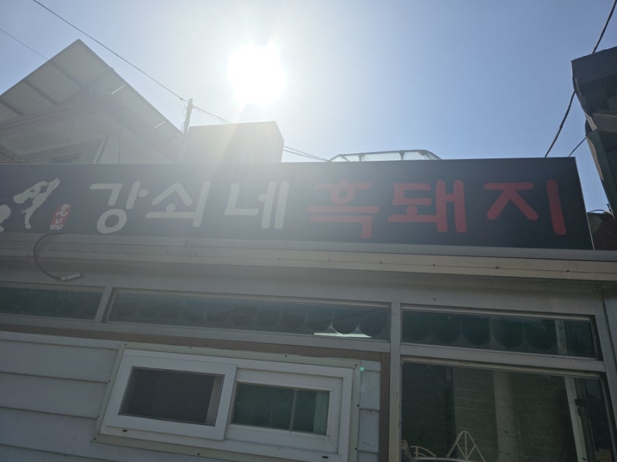 강쇠네흑돼지 사진 3