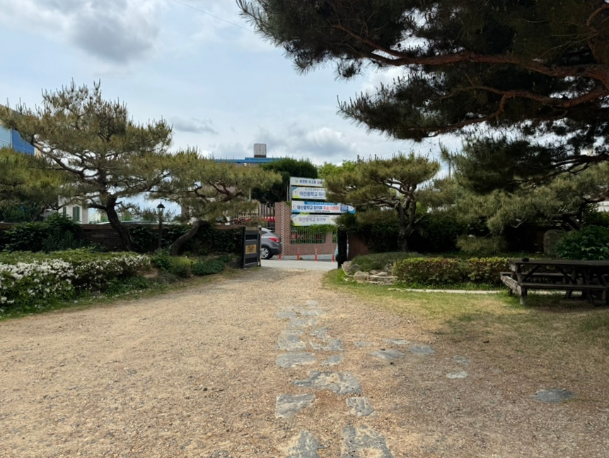 소나무집 사진 1
