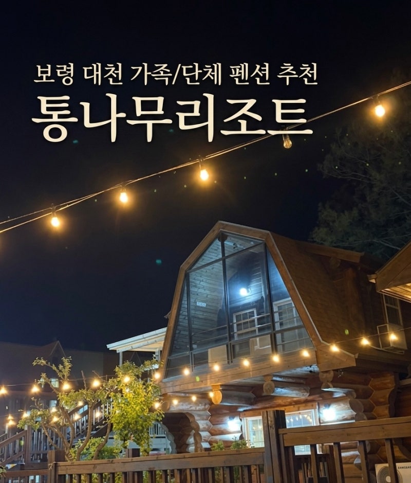 보령 대천 가족 단체 펜션 추천 통나무리조트 수영장 및 객실 후기
