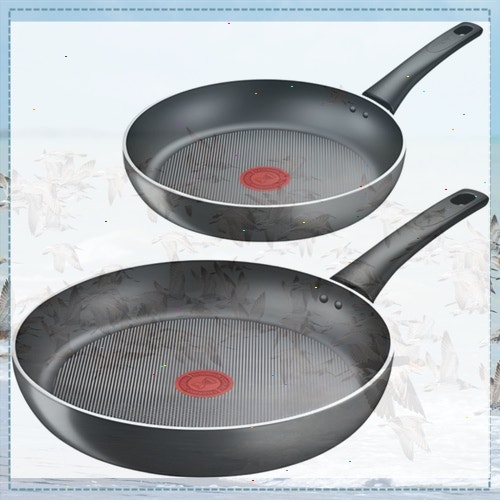 테팔 인덕션 티타늄 뉴 프로스타일 후라이팬 2종세트, 팬20cm+28cm, 1세트, 그레이 오늘오늘특가....