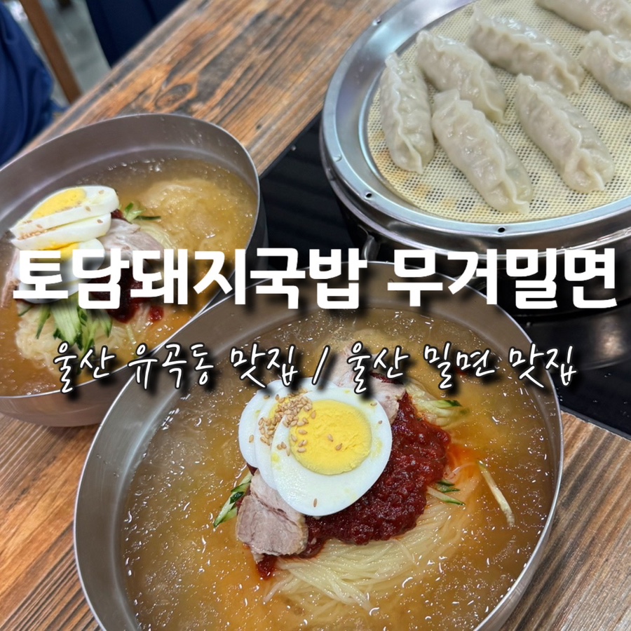 토담돼지국밥무거밀면 유곡점 사진 1