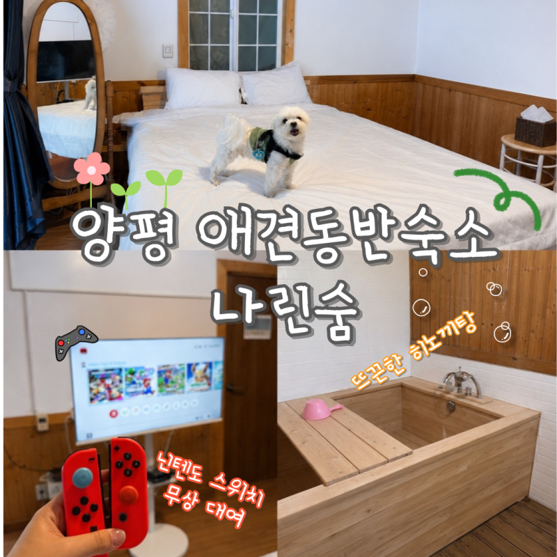 서울근교 애견동반 펜션 양평 나린숨 3호실 히노끼탕 숙박 후기 경기도 계곡 펜션 추천