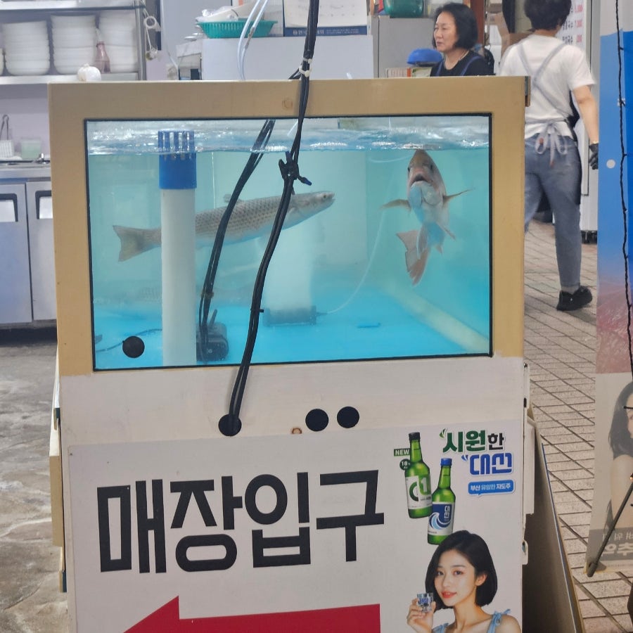 물금횟집 사진 3