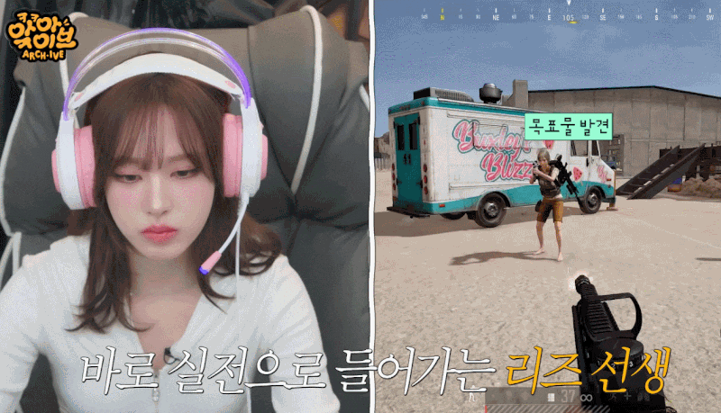 배그 아이브 리즈,장원영.ver