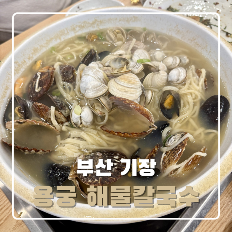 부산 기장 맛집 | 대야째 나오는 용궁해물칼국수 추천 + 주차가능