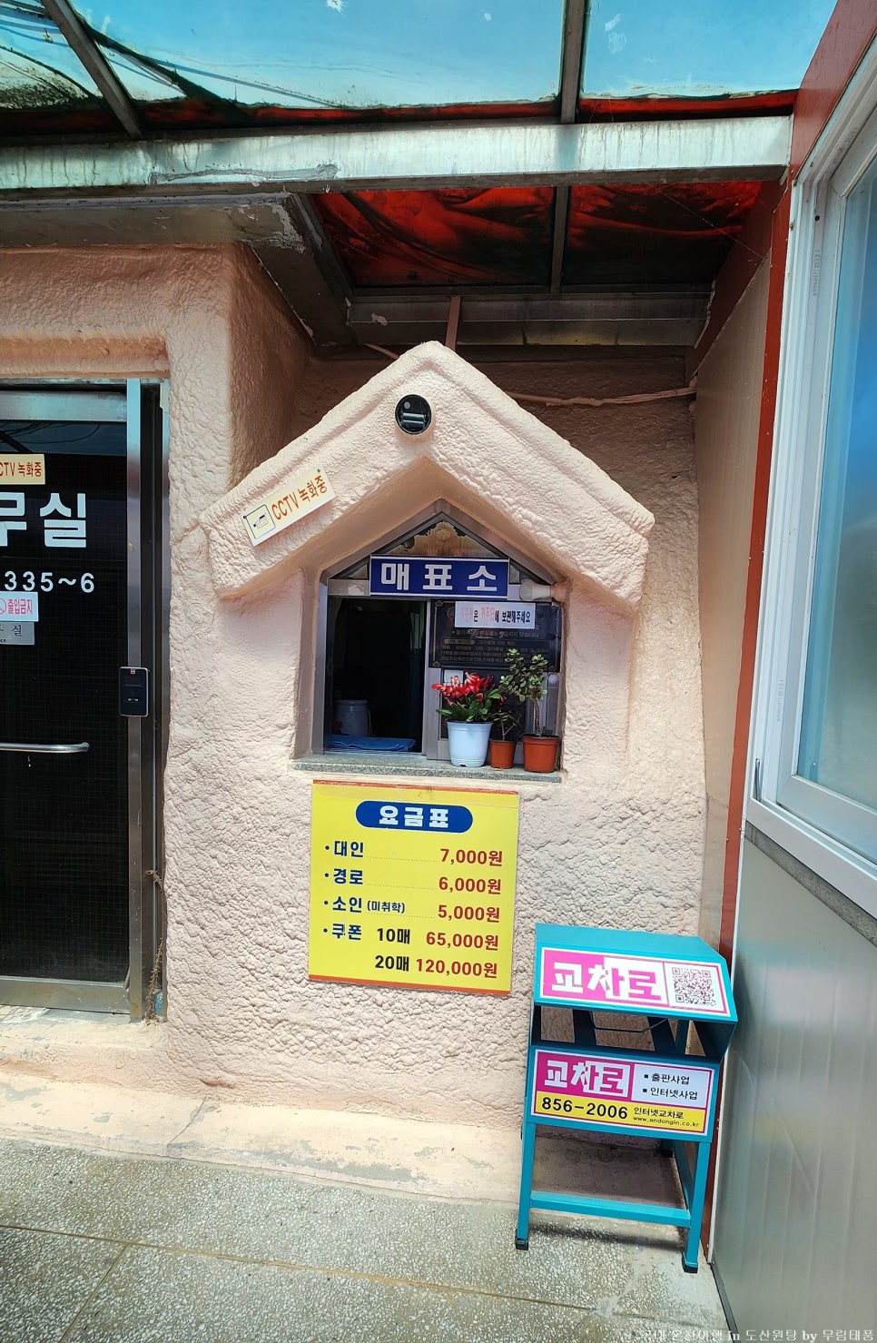 신촌물고기 사진 6
