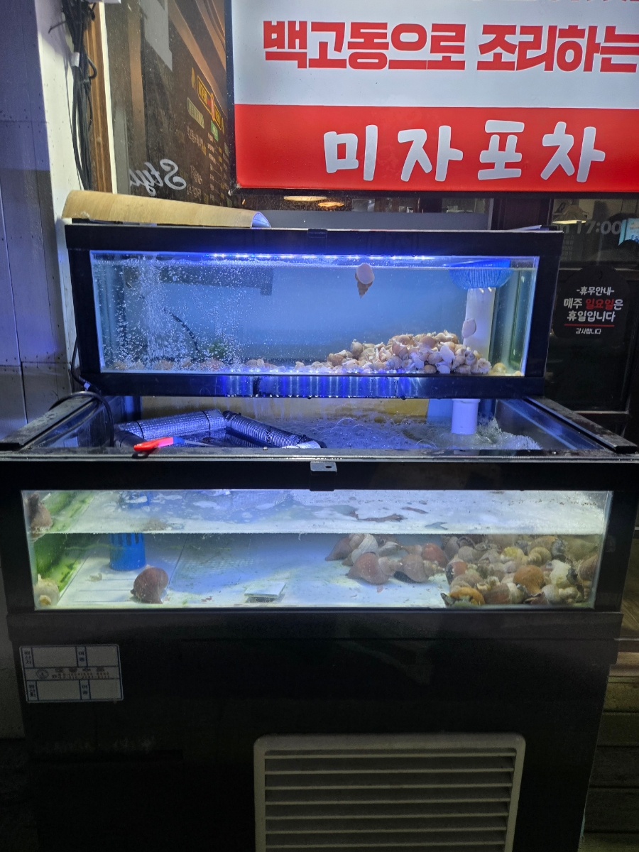 미자포차 내당점 사진 2