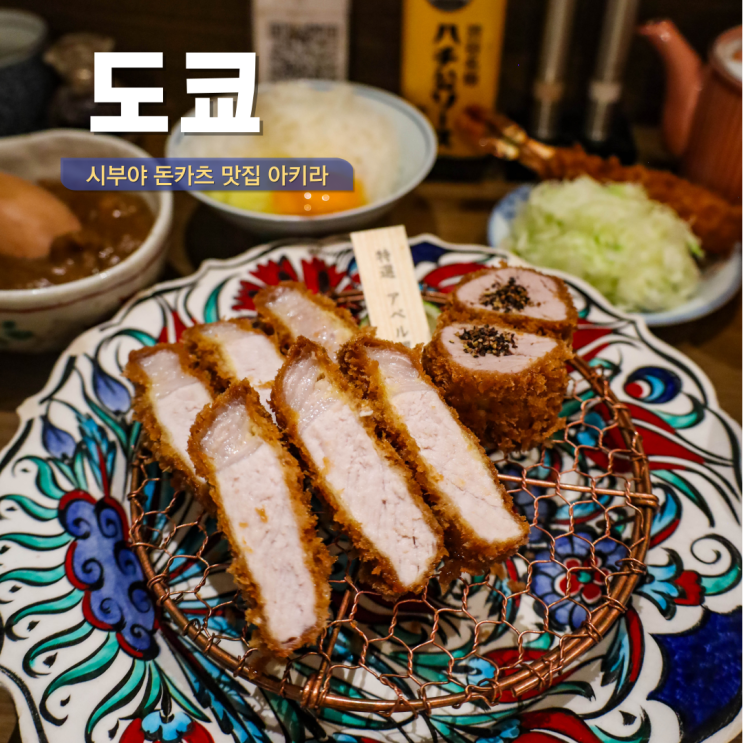  도쿄 시부야 맛집 시부야 돈키호테 근처 흑돼지 돈카츠 아키라