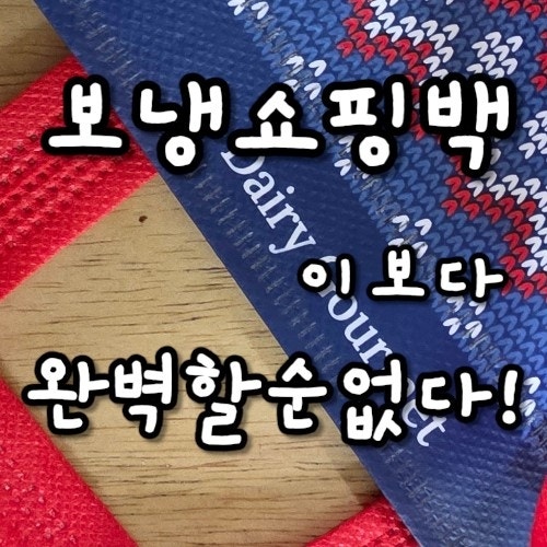 세모쇼핑백 일회용보냉백 제작 후기 포장부터 피크닉까지 활용도 좋았어요