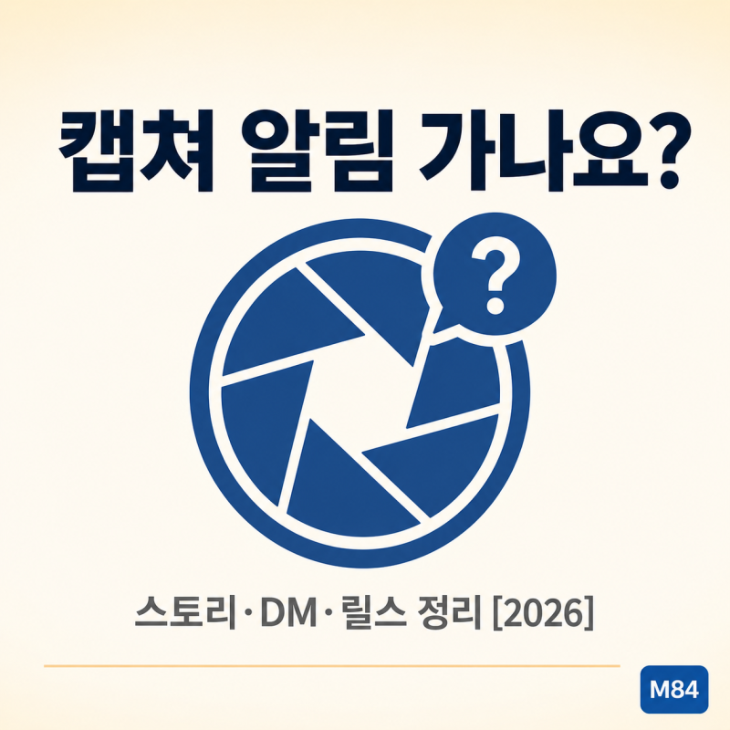 인스타 캡쳐 알림 진짜 가나요 — 스토리·DM·게시물·릴스 알림 가는 경우 안 가는 경우 총정....