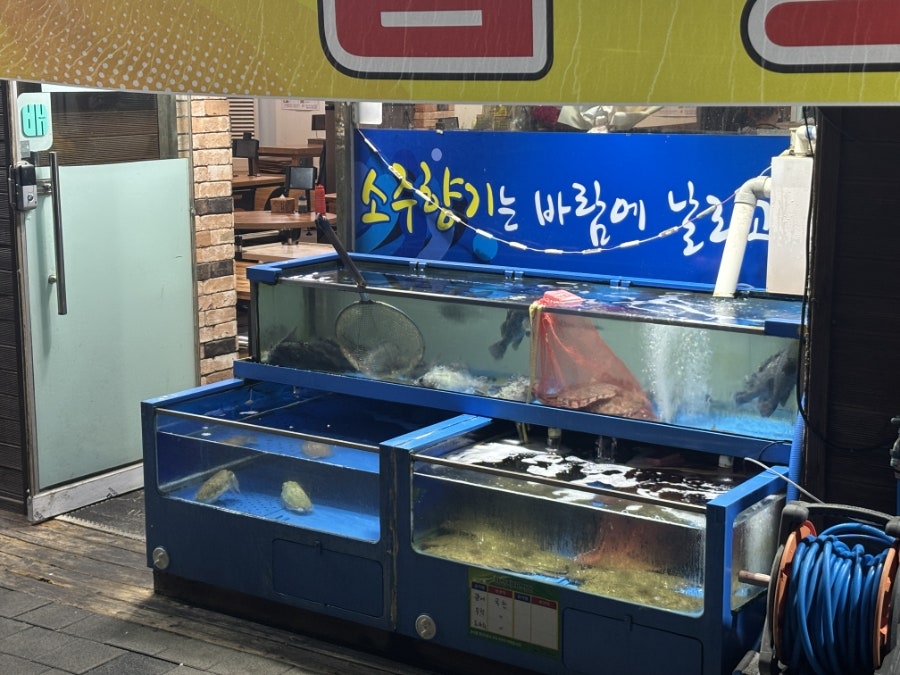 소주향기는바람에날리고 사진 5
