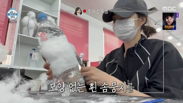 나혼산 레드벨벳 조이, 은퇴 걱정에 애견미용 배웠다