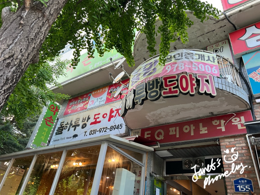 돌하루방도야지 사진 1