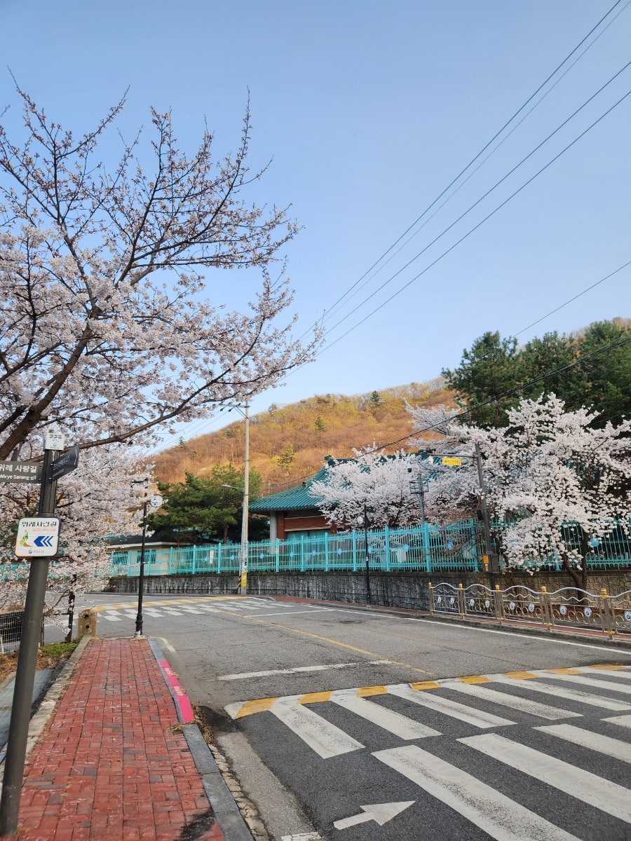 장다리한우마당