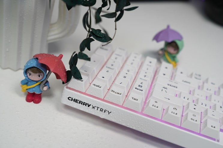  기계식보다 편한 게이밍 키보드 추천, CHERRY XTRFY K37 유무선 멤브레인 무선키보드