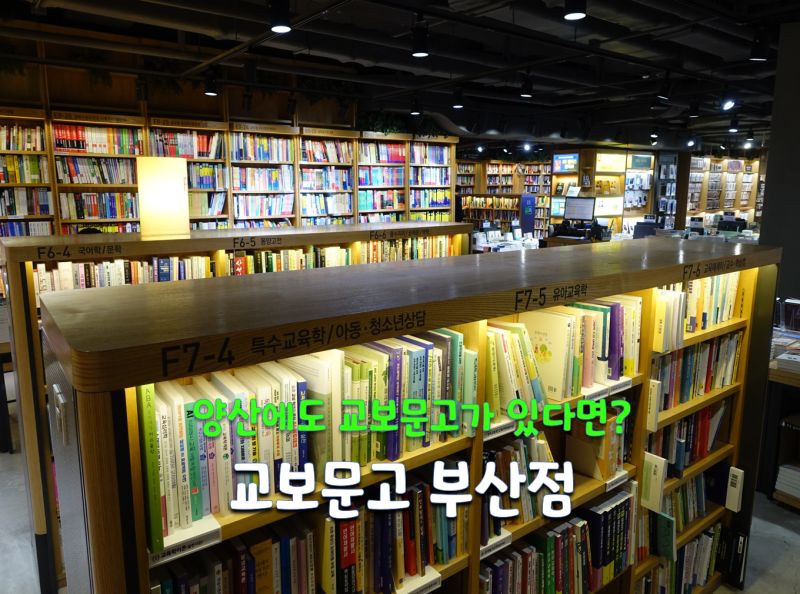 주말 가족 나들이로 다녀온 교보문고 부산점 주차 정보 및 알찬 도서 쇼핑 후기