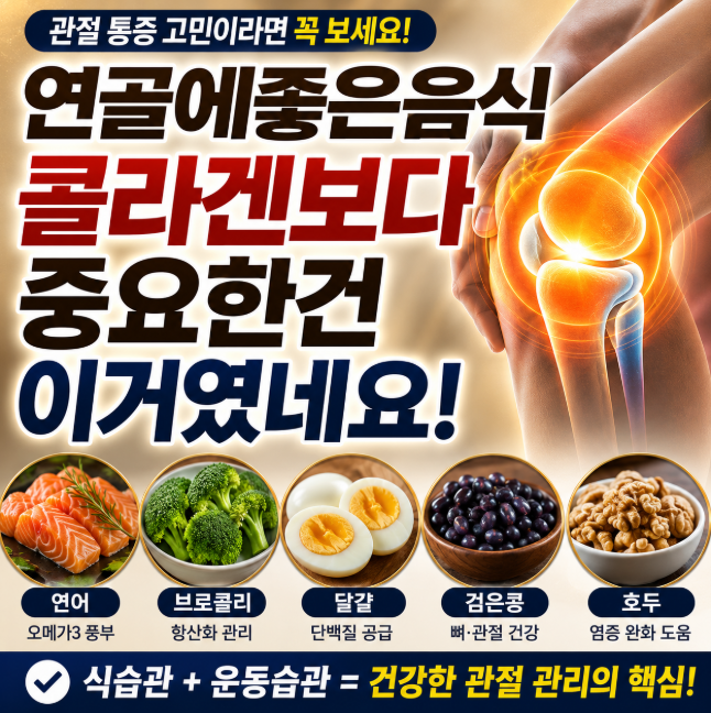 연골에좋은음식 콜라겐보다 중요한건 이거였네요