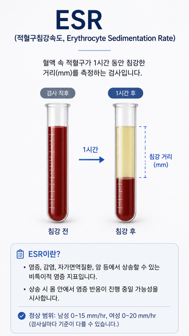 피검사에서 염증수치가 높다고 했는데… 그게 정확히 무슨 말일까요?