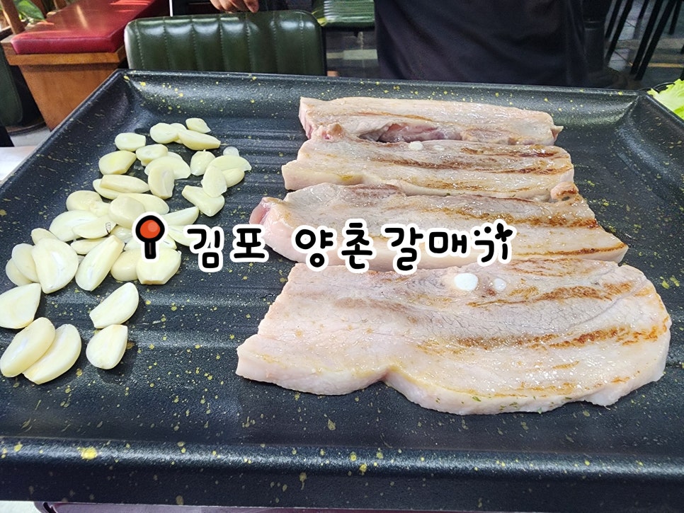양촌갈매기 사진 1